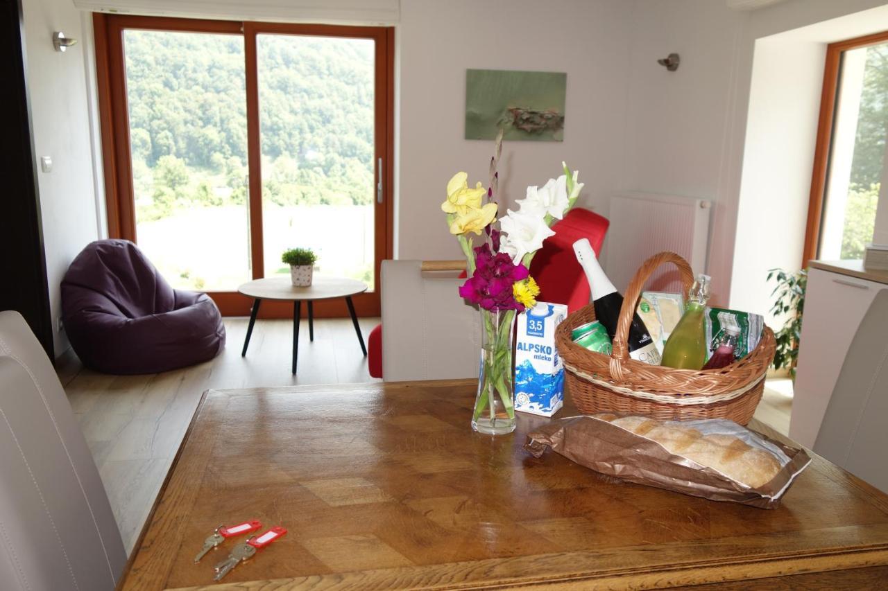 Hisa Lenart Apartman Tolmin Kültér fotó