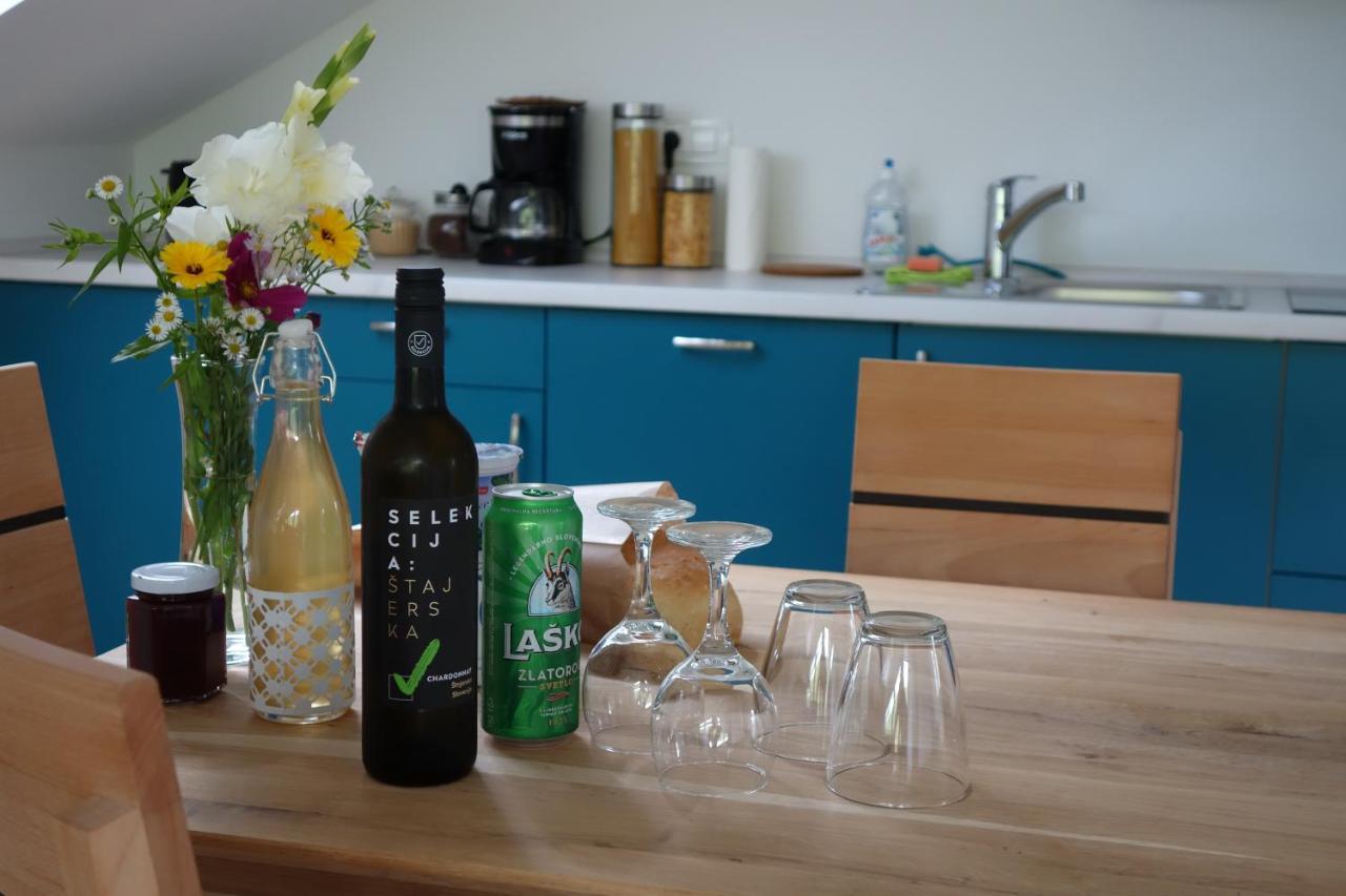 Hisa Lenart Apartman Tolmin Kültér fotó